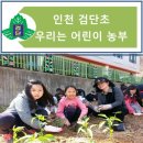 마전농장 이미지