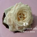 꽃비플라워 이미지