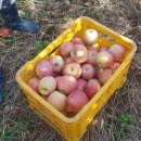 지암농장 이미지