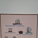 국제갤러리 K1 [자연 형태를 담는 조건, Gala Porras-Kim] 이미지