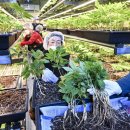 호천농장 이미지