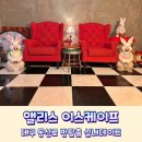 주식회사 스마트두꺼비 | 동성로 실내데이트 앨리스 이스케이프 금두꺼비 방탈출 성공