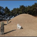 전사벌왕릉 이미지