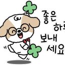 이플제주