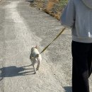 평화농원 이미지