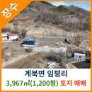 장수공인중개사사무소 이미지