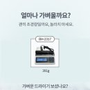 헤어브루노 이미지