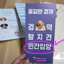 농림축산검역본부 | 검역탐지견 꽃길만 걷개 (ft.농림축산검역본부)