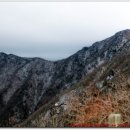 영남카클리닉 네이버블로그