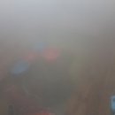 함평신흥해수찜 이미지