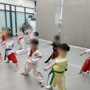 경희대 최강 태권도장 네이버블로그
