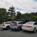 대성민물매운탕 이미지