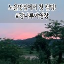 강나루정육점 | 후추와 캠린이의 첫 캠핑 ssul / 노을맛집 서울근교 소규모 캠핑장 애견동반 강나루야영장