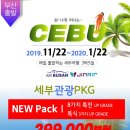 디스커버리여행&관광