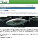 이상참치 이미지