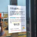 산호애견 | 태안 | 태안 베이커리 카페 엠플레이파크 슬로우어스에서 빵, 놀거리 모두 즐긴 후기