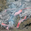 화산공원중앙 이미지