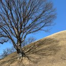 GS25 경주안강점 | 경주 여행 | 평균나이 33.25세, 먹다가 끝난 여행