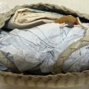 드래곤(dragon) | 찐 펄색상 후기 dragon diffusion 8943 PEARL 드래곤 디퓨전 로잔나 펄, 진주빛? 상상과 달랐던...펄🤍