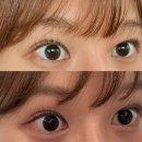 라니래쉬(rani lash) | [매탄동] 수원 속눈썹 유목민들 모여라 펌 맛집 라니뷰티 한샘원장님 내돈내산 후기