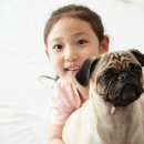 아기강아지 이미지