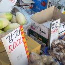 드림야채청과 이미지