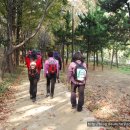 하늘새카페 이미지