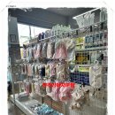 펫365 강아지분양 고양이분양 전주본점 이미지