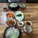 무봉리토종순대국앤삼계탕 | 창원 한우곰탕 맛집 무봉리 토종 순대국(구 우정한우소머리곰탕)에서 한우 소머리국밥 먹은 솔직후기