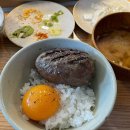 함박농장(청양) | 히키니쿠토코메 :: 촉촉육즙가득 한우함바그, 도산 함박스테이크 전문점