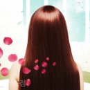 헤어토픽 - 창원시 의창구 | 헤어토픽