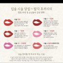 (대전서구) 대전 틴트입술 맛집 괴정동 바나나브로우 솔직후기 +일주일 후기 추가!!