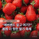 4월 문화가 있는 날 _ 바이올린 이경선 | "이번 주말 여기로 몰린대요" 완주삼례딸기대축제, 주차는 이렇게 해결하세요