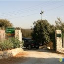 하나게임장 이미지