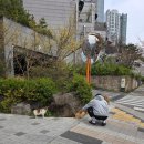 행운동-12 이미지