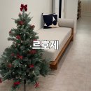르호제 | 대전 둔산동 피부관리 수분 충전 물톡스후기 르호제 내돈내산