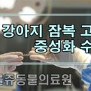 리틀쥬동물의료원 이미지