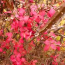 보성농어촌공공도서관 이미지