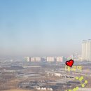 대곡농로 이미지