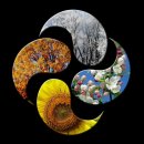 백세시대 이미지