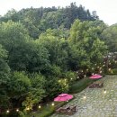 휴밸리(관광농원) 이미지