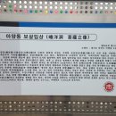 아양동석불입상 이미지