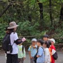 월드컵로 30 세븐일레븐 앞 이미지