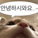 둔촌대로 101번길 이미지