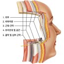 [공지] 한남동 한의원 마라토너 원장이 고집부리는 이유