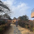 제주윤채 | 제주 성산 감귤체험 숙소 [제주윤채]노천탕, 애견동반 가능, 감성숙소 찾는다면 여기가 답👍🏻