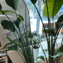 모리셔스브라운 춘천점 이미지