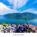 비커밍풀빌라 이미지