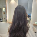 뉴엘헤어 이미지
