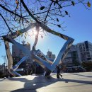 백양산임도(1) 이미지